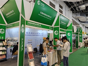 PAPER EXPO上海国际纸展