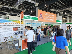 PAPER EXPO上海国际纸展